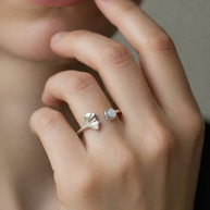 Anillo plateado con hoja de ginko y piedra