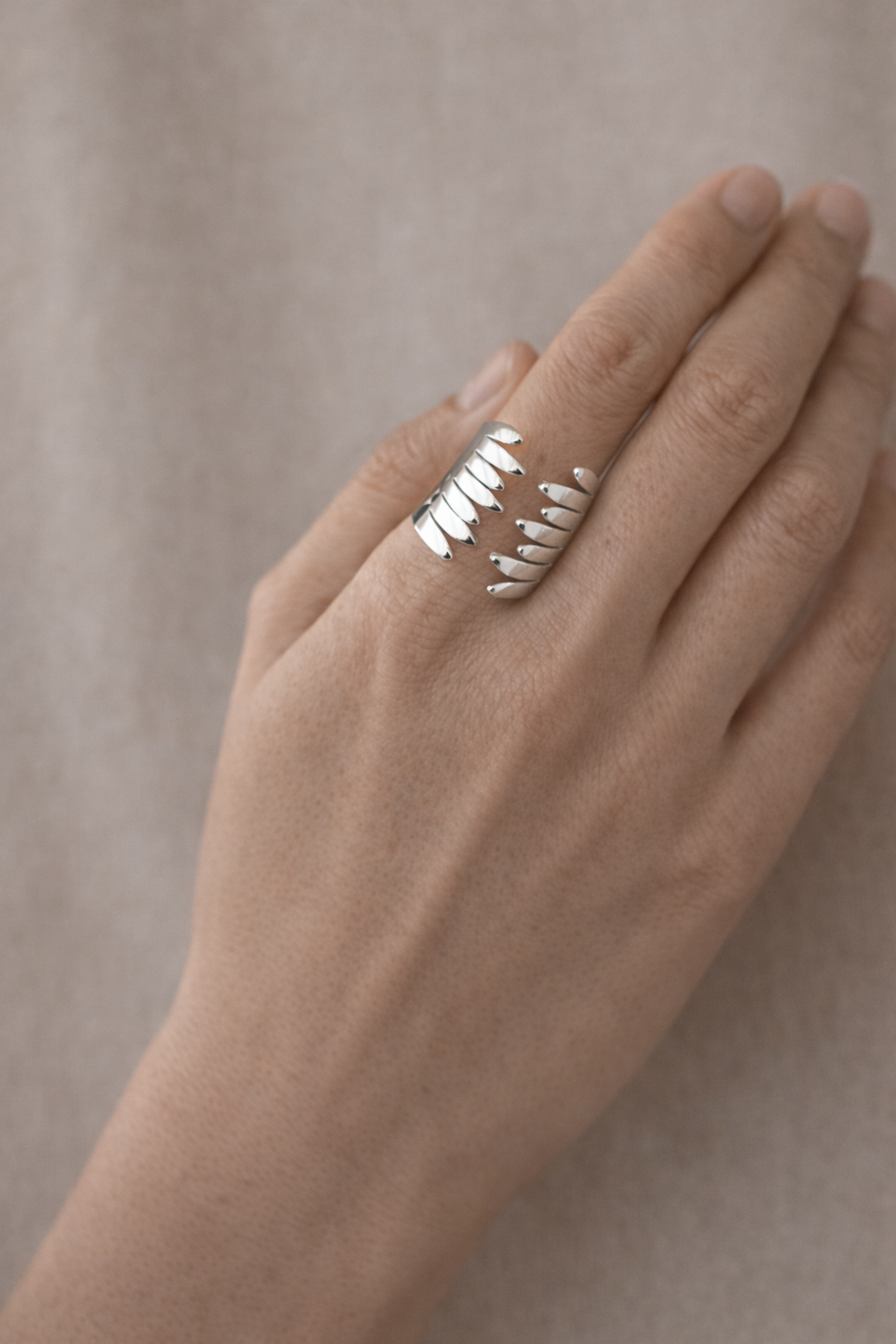 Anillo plateado con diseño en alas abrazadas