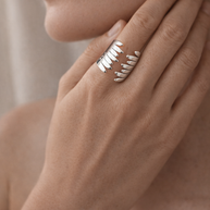 Anillo plateado con diseño en alas abrazadas